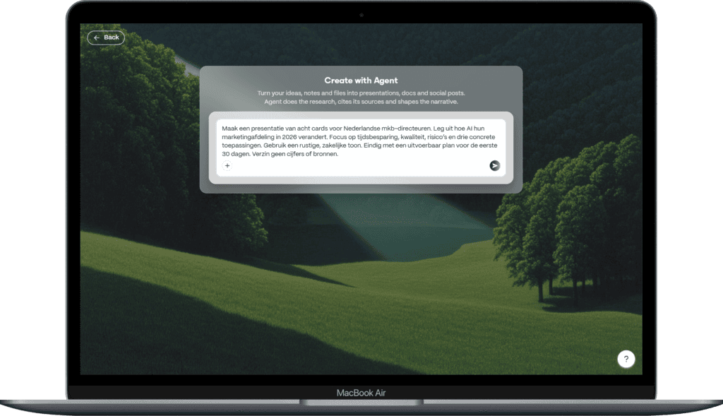 Voorbeeldprompt