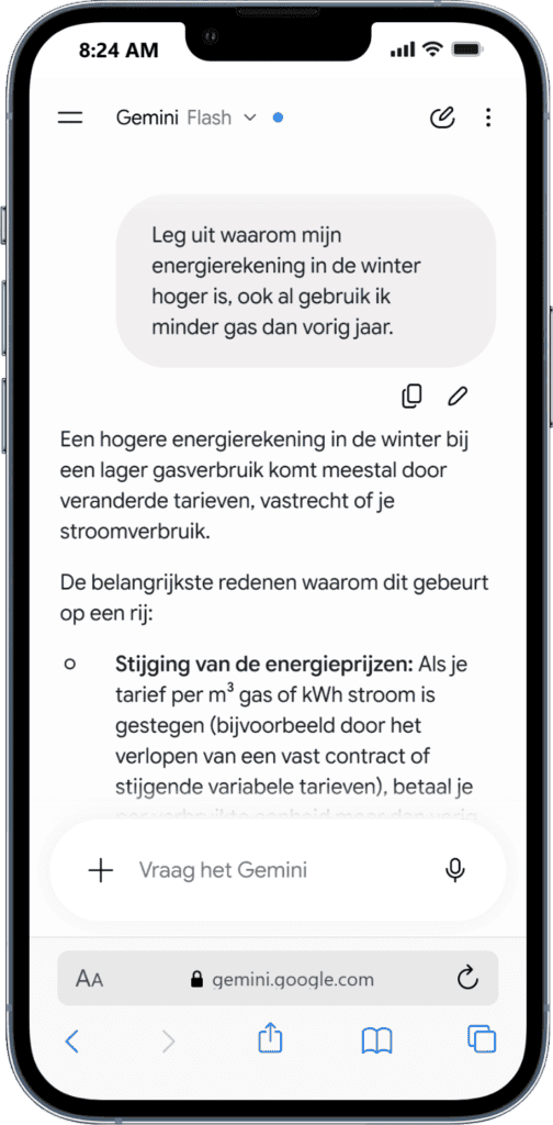 Voorbeeld antwoord Gemini