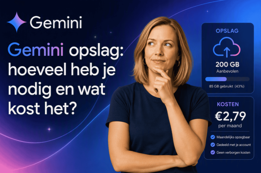 Gemini opslag: hoeveel heb je nodig en wat kost het?